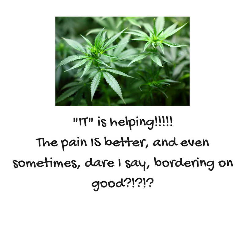 Multiple Sclerosis and Pain Update: Cannabis & CBD Oil to Find Relief