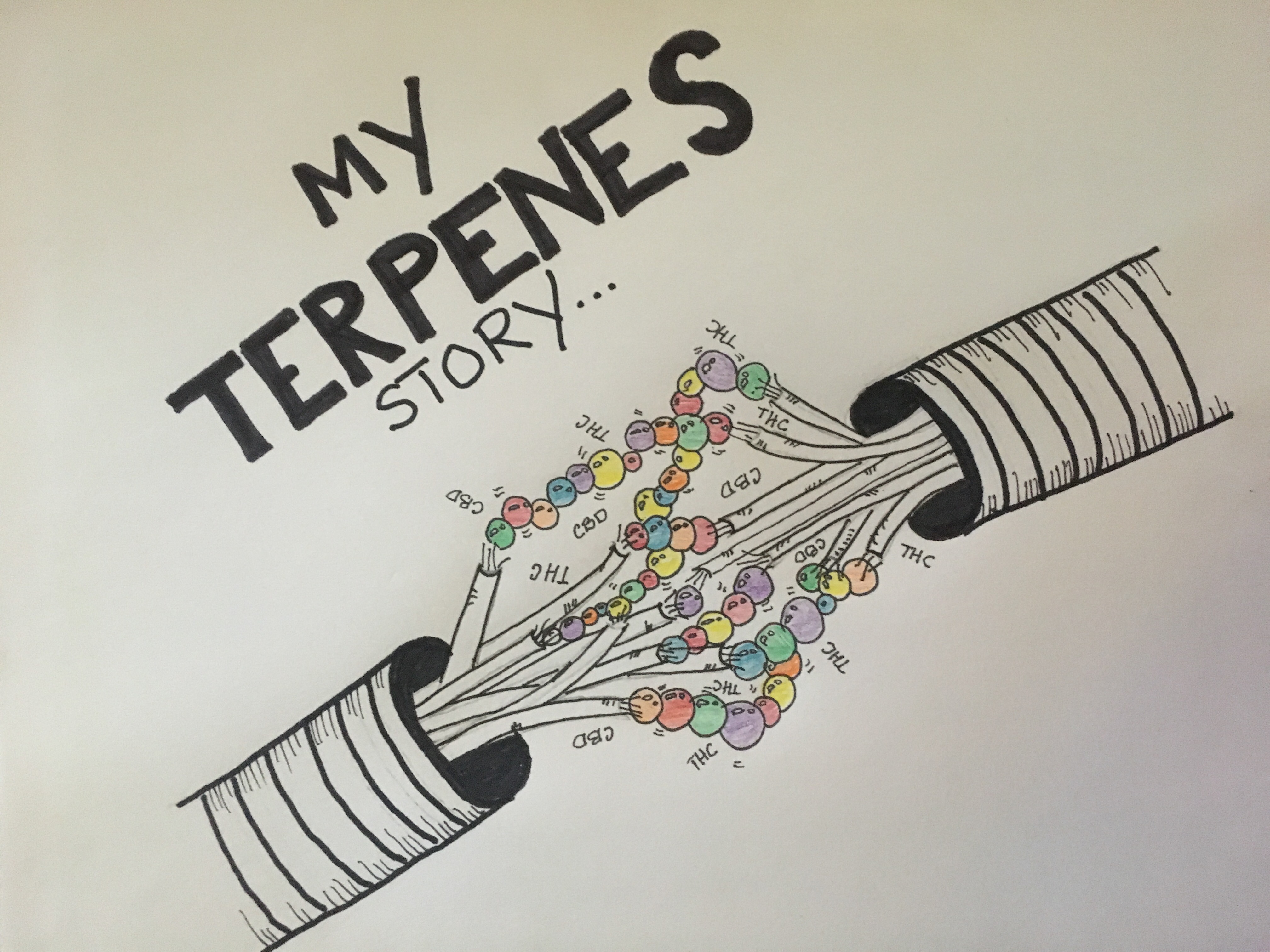 Multiple Sclerosis & Cannabis: It’s All About The Terpenes