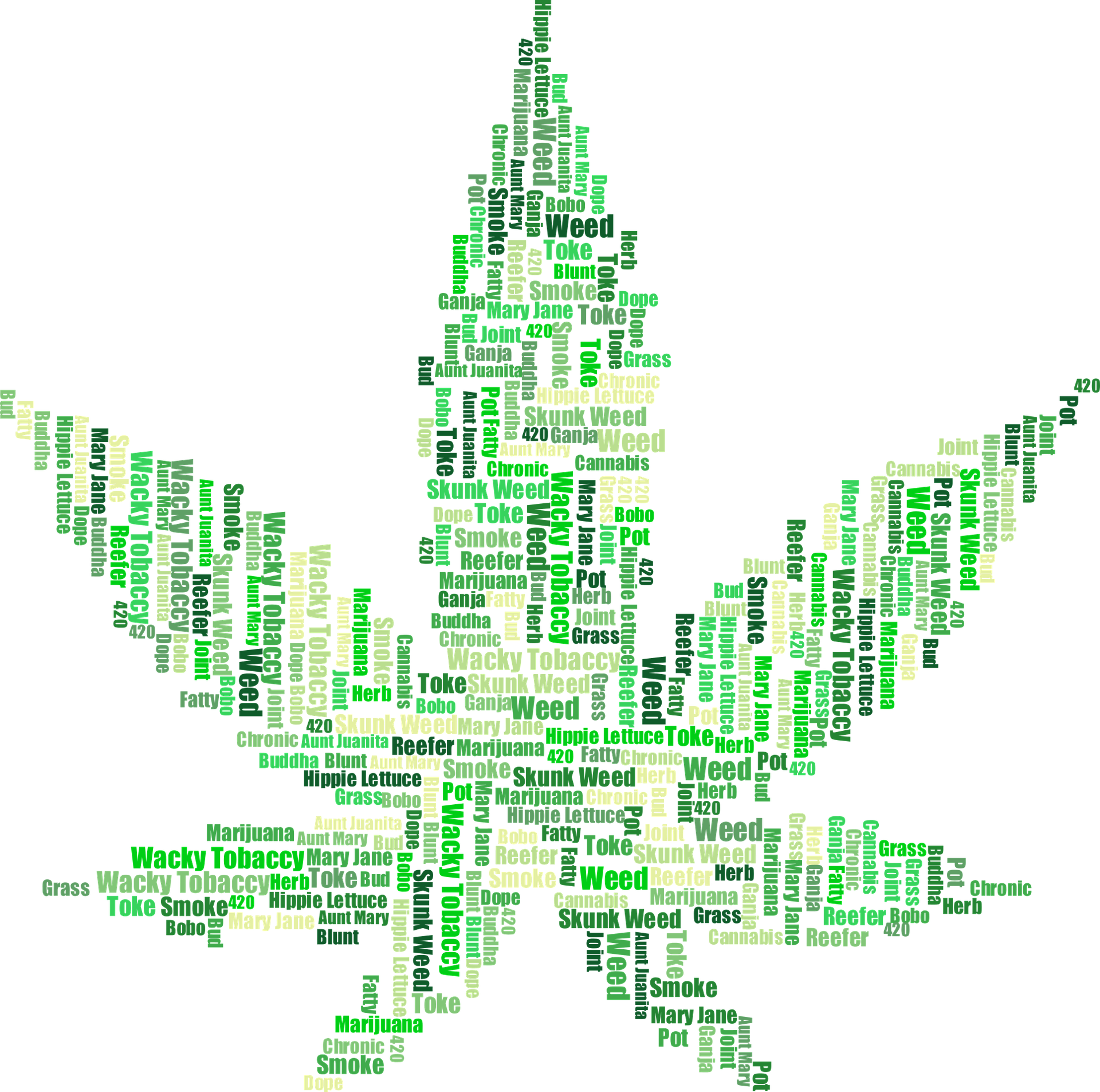 Multiple Sclerosis – Cannabis IS My Medicine